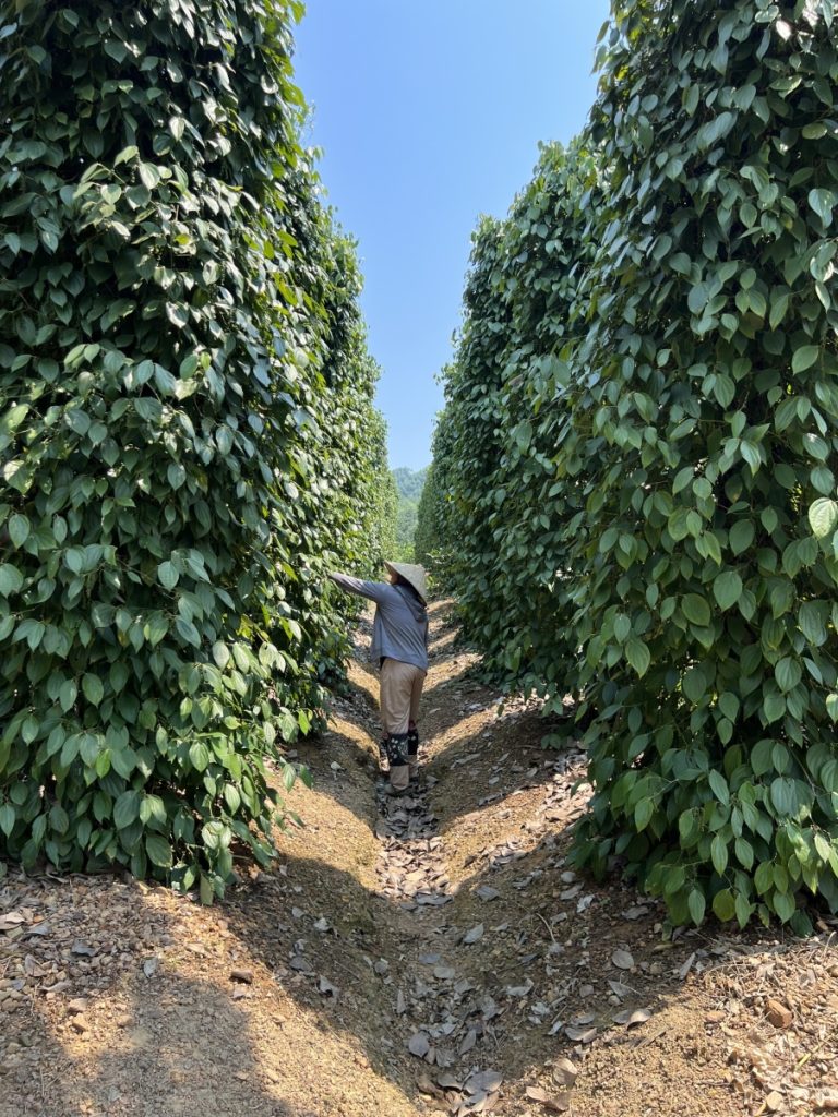 z5362898702439_99565349d487c83b62cb50110e52805c-768x1024  